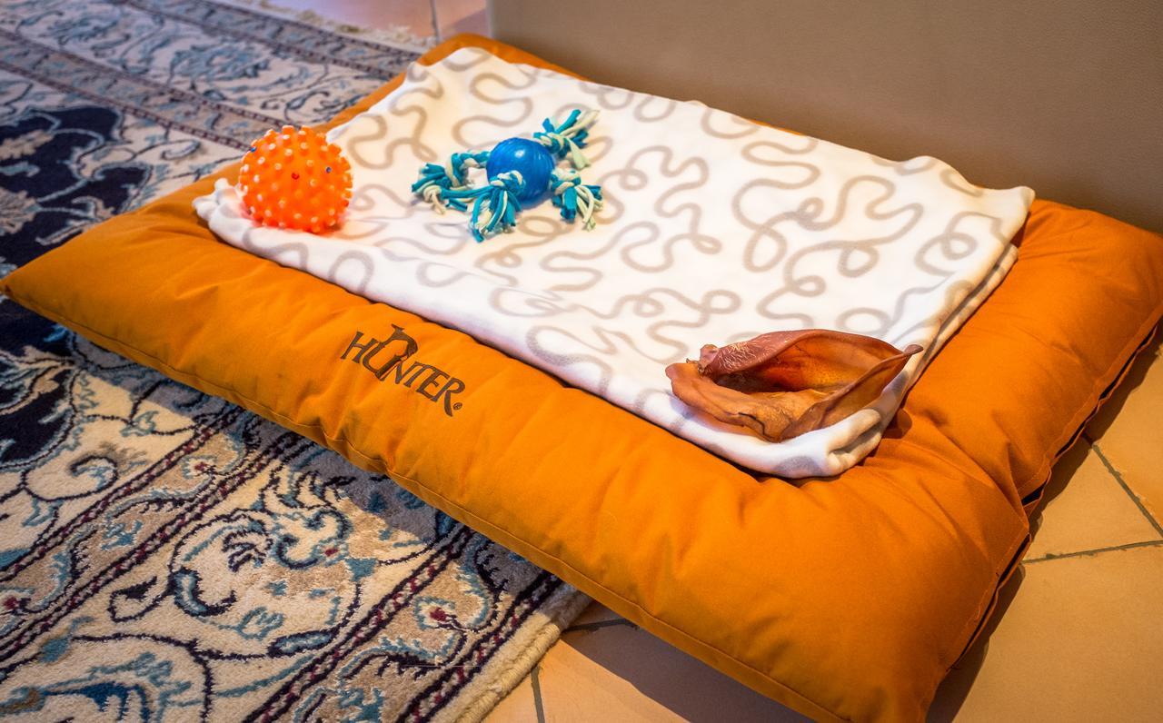 Chalet Verwall Luxury Apartments Lech Dış mekan fotoğraf